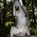 monkey_macaque_balinese_mf_ubud_v_0852_bal4564.jpg